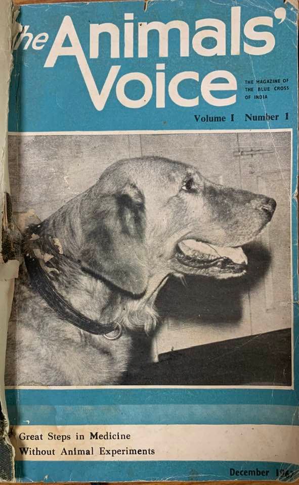 The Animals' Voice 1967