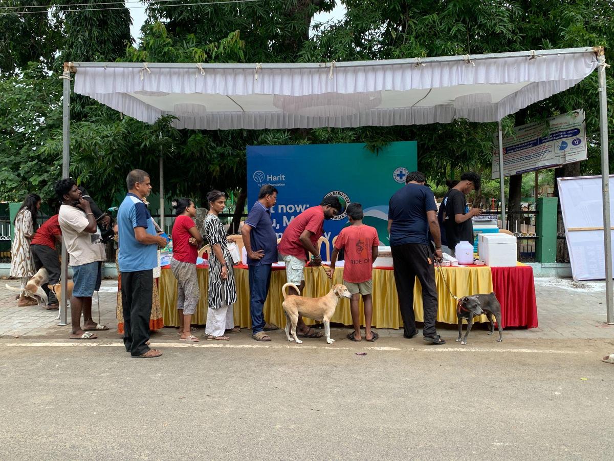 Thiruverkadu Mass Vaccination Drive