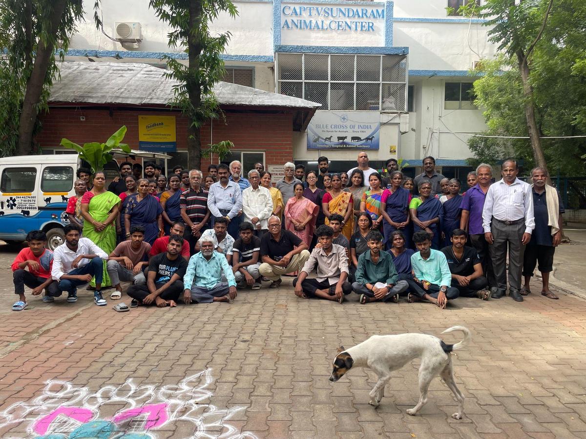 Ayudha Pooja Celebration