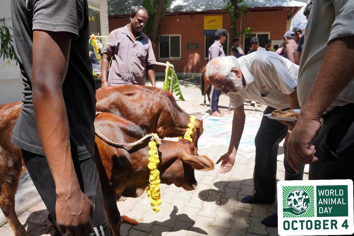 World Animal Day Special Pooja